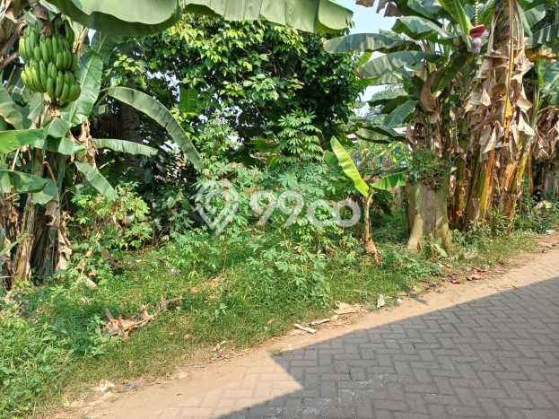 Tanah Dijual Lokasi Cisauk, Tangerang Luas 638m2 Legalitas Aman Tanah Dijual Lokasi Cisauk, Tangerang Luas 638m2 Legalitas Aman