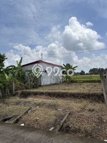 HARGA TERBAIK! Tanah Kawasan Ubud, Luas 188m2m², Akses Strategis, Cocok untuk Investasi HARGA TERBAIK! Tanah Kawasan Ubud, Luas 188m2m², Akses Strategis, Cocok untuk Investasi
