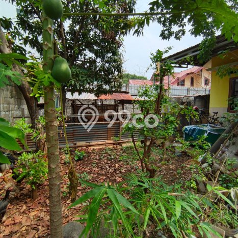 Tanah Kavling Dijual di Kukusan, Depok dengan Luas Tanah 2000m2 Tanah Kavling Dijual di Kukusan, Depok dengan Luas Tanah 2000m2