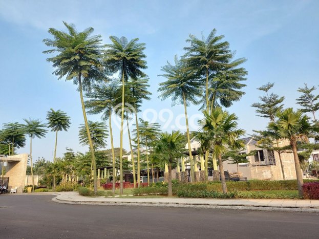 Rumah Modern Cantik 3 KT Siap Huni di Cibitung Rumah Modern Cantik 3 KT Siap Huni di Cibitung