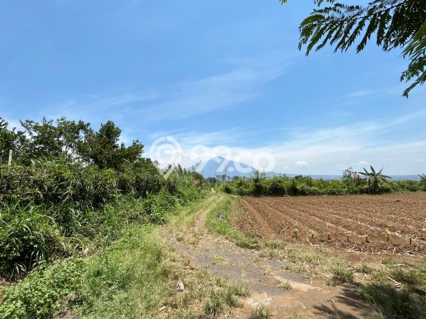 Untuk Dijual Tanah di Malang, Luas 75m2 SHM Untuk Dijual Tanah di Malang, Luas 75m2 SHM