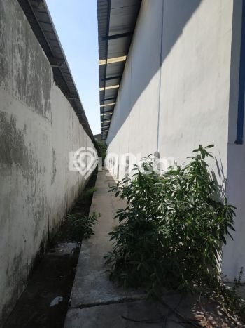 Gudang Bagus Dijual LB 897m2 Lokasi Strategis Jakarta Barat Area Cocok untuk Bisnis Gudang Bagus Dijual LB 897m2 Lokasi Strategis Jakarta Barat Area Cocok untuk Bisnis