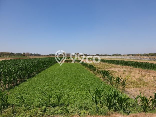 Tanah Lokasi Prima Kawasan Wringinanom, Luas 14000m2m², Kawasan Nyaman, Akses Wringinanom, Gresik, Gresik Tanah Lokasi Prima Kawasan Wringinanom, Luas 14000m2m², Kawasan Nyaman, Akses Wringinanom, Gresik, Gresik