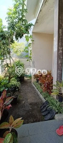 Rumah LT 130m2m² di Tembalang, Semarang - Akses Mudah Rumah LT 130m2m² di Tembalang, Semarang - Akses Mudah