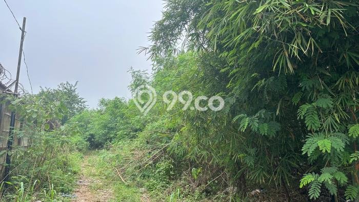 Tanah Kavling untuk Disewa di Tangerang Tangerang 1935m2 Tanah Kavling untuk Disewa di Tangerang Tangerang 1935m2