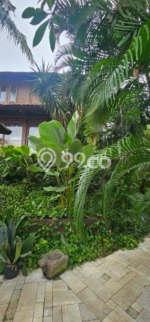 Jual Rumah Mewah Elegan Dengan View Cantik di Bintaro, Tangerang Selatan Jual Rumah Mewah Elegan Dengan View Cantik di Bintaro, Tangerang Selatan