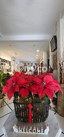 Jual Rumah Mewah Elegan Dengan View Cantik di Bintaro, Tangerang Selatan Jual Rumah Mewah Elegan Dengan View Cantik di Bintaro, Tangerang Selatan