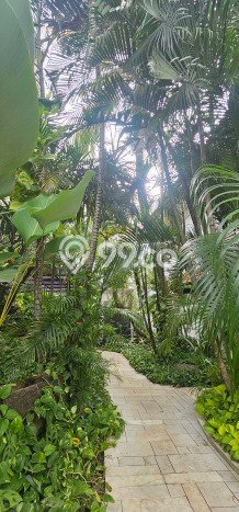 Jual Rumah Mewah Elegan Dengan View Cantik di Bintaro, Tangerang Selatan Jual Rumah Mewah Elegan Dengan View Cantik di Bintaro, Tangerang Selatan