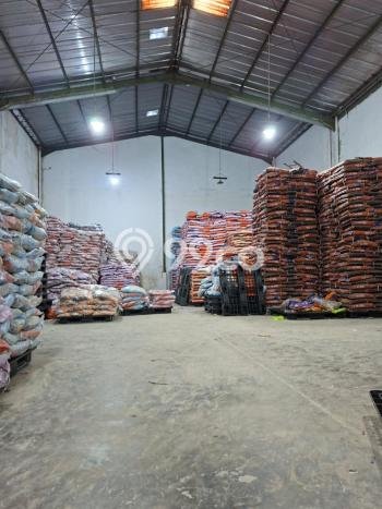 Unit Gudang Dijual di BSD Tangerang Selatan Luas Tanah 360m2, Luas Bangunan 300m2 Unit Gudang Dijual di BSD Tangerang Selatan Luas Tanah 360m2, Luas Bangunan 300m2