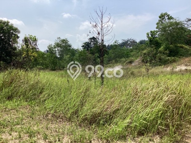 Kavling Tanah di Tenayan Raya Dijual Luas 240m2 Legalitas - Kavling Tanah di Tenayan Raya Dijual Luas 240m2 Legalitas -