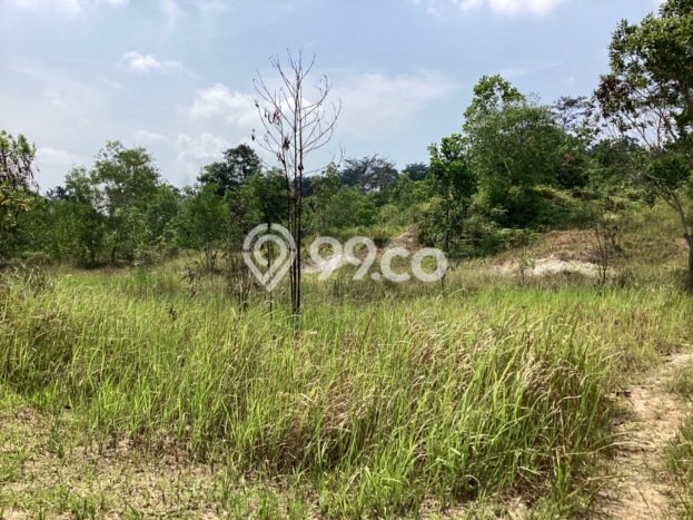 Kavling Tanah di Tenayan Raya Dijual Luas 240m2 Legalitas - Kavling Tanah di Tenayan Raya Dijual Luas 240m2 Legalitas -