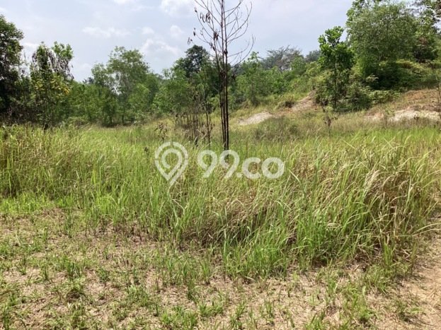 Kavling Tanah di Tenayan Raya Dijual Luas 240m2 Legalitas - Kavling Tanah di Tenayan Raya Dijual Luas 240m2 Legalitas -