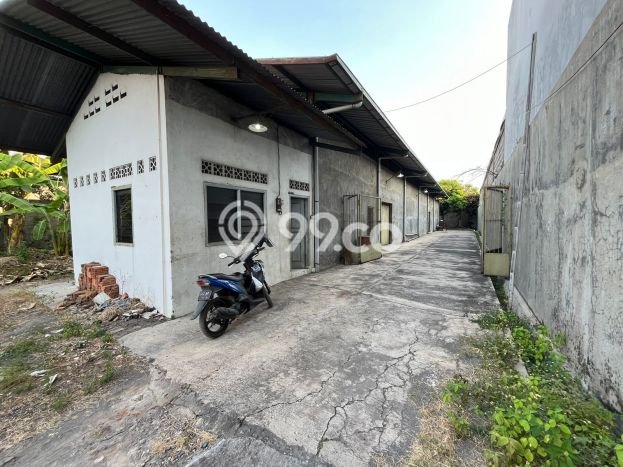 Gudang Dijual Lokasi Stratagis di Grogol Sukoharjo Cocok untuk Investasi Gudang Dijual Lokasi Stratagis di Grogol Sukoharjo Cocok untuk Investasi