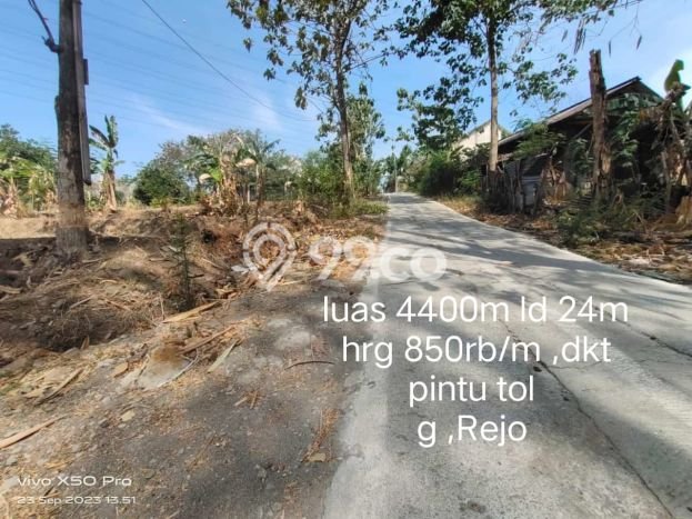 Tanah di Gondangrejo, Karanganyar Luas 4400m2 Dijual Segera Tanah di Gondangrejo, Karanganyar Luas 4400m2 Dijual Segera