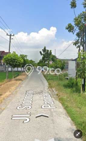 Disewakan Tanah Seluas 5250m2 di Sidoharjo, Sragen Disewakan Tanah Seluas 5250m2 di Sidoharjo, Sragen