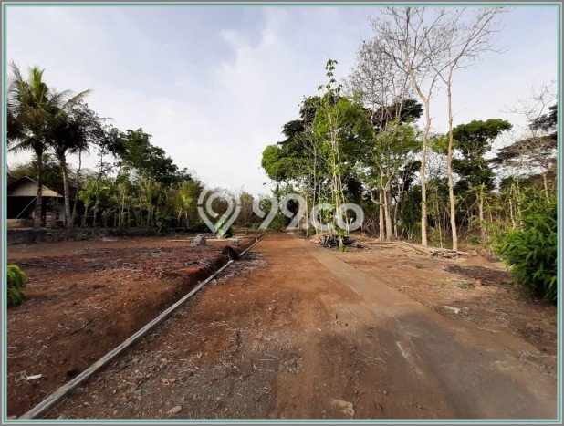 Tanah Dijual Lokasi Mlati, Sleman Luas 255m2 Legalitas Aman Tanah Dijual Lokasi Mlati, Sleman Luas 255m2 Legalitas Aman