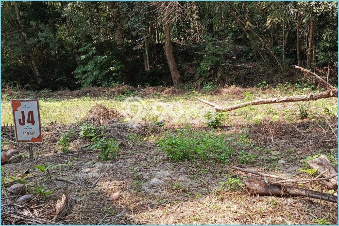 Tanah di Kasihan, Bantul Luas 160m2 Dijual Segera Tanah di Kasihan, Bantul Luas 160m2 Dijual Segera
