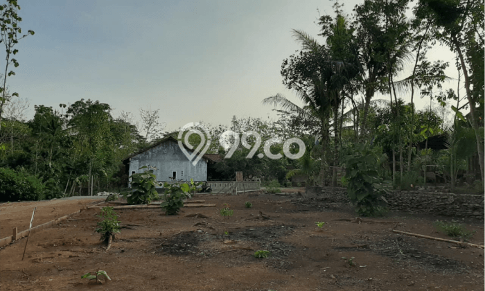 Dijual Tanah SHM Murah Dekat Wisata Gamplong Sleman Dijual Tanah SHM Murah Dekat Wisata Gamplong Sleman