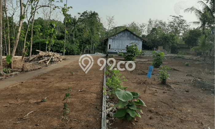 Dijual Tanah SHM Murah Dekat Wisata Gamplong Sleman Dijual Tanah SHM Murah Dekat Wisata Gamplong Sleman