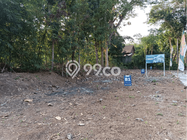 Dijual Tanah Murah SHM Sleman Dekat Area Wisata Gamplong Dijual Tanah Murah SHM Sleman Dekat Area Wisata Gamplong