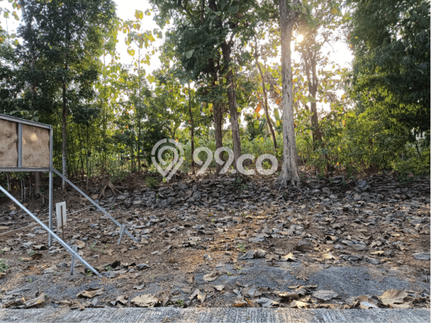 Dijual Tanah Murah SHM Sleman Dekat Area Wisata Gamplong Dijual Tanah Murah SHM Sleman Dekat Area Wisata Gamplong