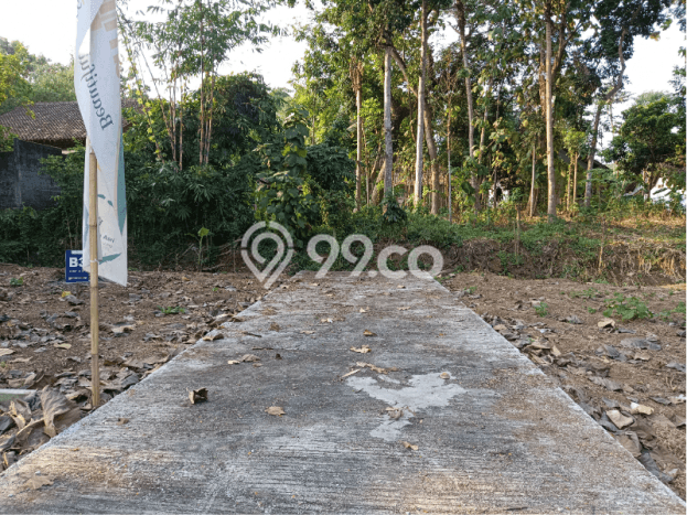 Dijual Tanah Murah SHM Sleman Dekat Area Wisata Gamplong Dijual Tanah Murah SHM Sleman Dekat Area Wisata Gamplong