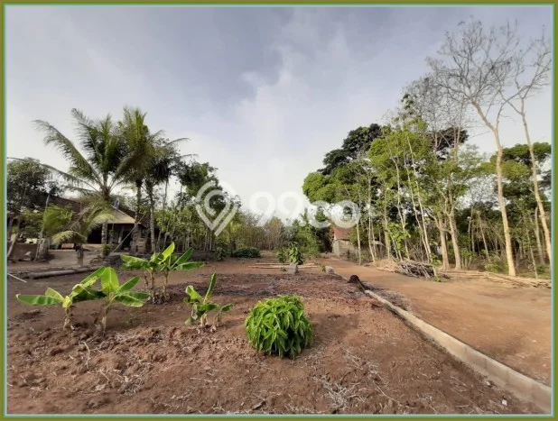 Tanah Dijual Lokasi Godean, Sleman dengan Luas Tanah 130m2 dan Status SHM Tanah Dijual Lokasi Godean, Sleman dengan Luas Tanah 130m2 dan Status SHM