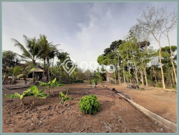 Tanah Dijual Lokasi Mlati, Sleman Luas 255m2 Legalitas Aman Tanah Dijual Lokasi Mlati, Sleman Luas 255m2 Legalitas Aman
