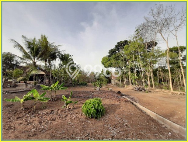 Kavling Tanah di Godean Dijual Luas 120m2 Legalitas SHM Kavling Tanah di Godean Dijual Luas 120m2 Legalitas SHM