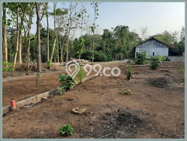 Tanah Dijual Lokasi Mlati, Sleman Luas 255m2 Legalitas Aman Tanah Dijual Lokasi Mlati, Sleman Luas 255m2 Legalitas Aman