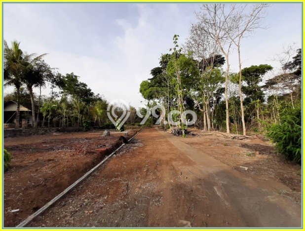 Kavling Tanah di Godean Dijual Luas 120m2 Legalitas SHM Kavling Tanah di Godean Dijual Luas 120m2 Legalitas SHM