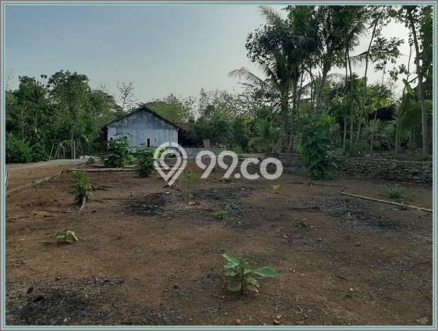Tanah Dijual Lokasi Mlati, Sleman Luas 255m2 Legalitas Aman Tanah Dijual Lokasi Mlati, Sleman Luas 255m2 Legalitas Aman