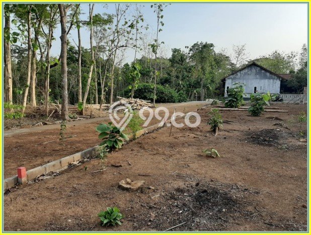 Kavling Tanah di Godean Dijual Luas 120m2 Legalitas SHM Kavling Tanah di Godean Dijual Luas 120m2 Legalitas SHM