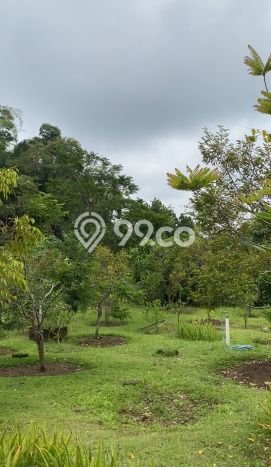 Area Ramai! Komersial Dijual di Bandungan untuk Bisnis Luas Bangunan 800m2 Area Ramai! Komersial Dijual di Bandungan untuk Bisnis Luas Bangunan 800m2