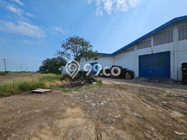 Unit Gudang Strategis di Genuk, Semarang Potensi Cuan Besar Unit Gudang Strategis di Genuk, Semarang Potensi Cuan Besar