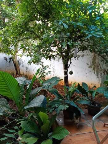 HARGA SPECIAL! Rumah Asri di Serpong Villa Melati Mas, Luas 304m² LB 280m² HARGA SPECIAL! Rumah Asri di Serpong Villa Melati Mas, Luas 304m² LB 280m²
