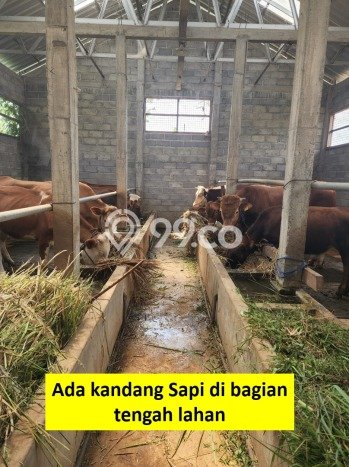 Tanah Dijual Area Strategis di Ungaran Semarang 52540m2 Tanah Dijual Area Strategis di Ungaran Semarang 52540m2