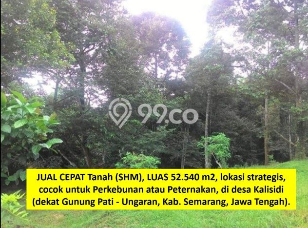 Tanah Dijual Area Strategis di Ungaran Semarang 52540m2 Tanah Dijual Area Strategis di Ungaran Semarang 52540m2