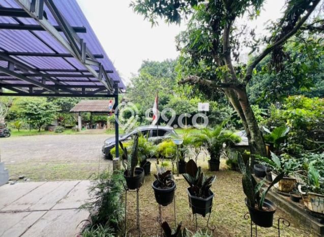 Dijual Hunian Rumah Nyaman 3 KT di baranangsiang, Bogor Dijual Hunian Rumah Nyaman 3 KT di baranangsiang, Bogor