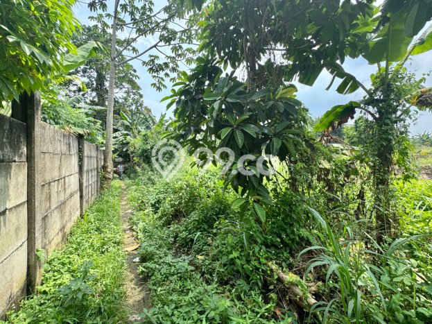 Tanah di Legok, Tangerang Luas 5900m2 Dijual Segera Tanah di Legok, Tangerang Luas 5900m2 Dijual Segera