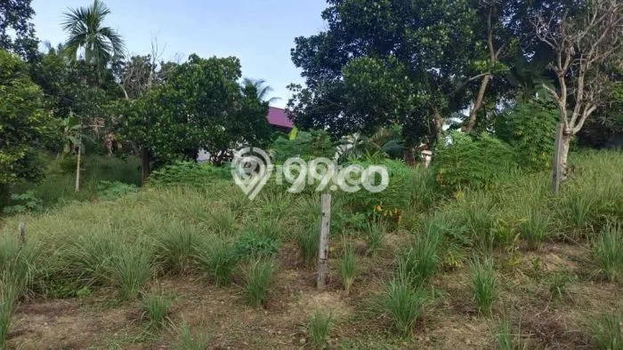 Untuk Dijual Tanah di Balikpapan Utara Balikpapan Luas 692m2 SHM Untuk Dijual Tanah di Balikpapan Utara Balikpapan Luas 692m2 SHM