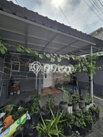Rumah Minimalis Dijual Lokasi Sukun 2 Kamar dengan Luas Tanah 72m2 Rumah Minimalis Dijual Lokasi Sukun 2 Kamar dengan Luas Tanah 72m2