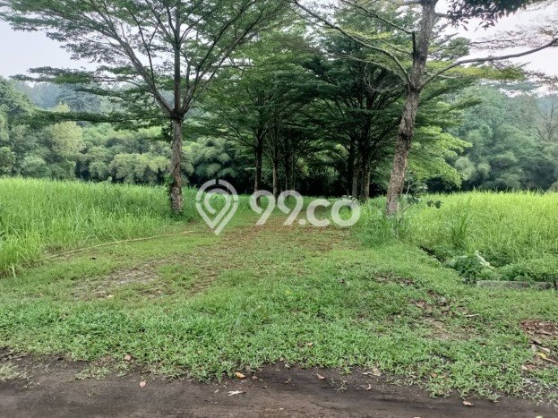 Tanah Strategis Dijual di Cinere Depok 384m2 Tanah Strategis Dijual di Cinere Depok 384m2