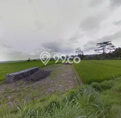 Tanah Kavling di Penebel Dijual dengan Luas 1000m2 Tanah Kavling di Penebel Dijual dengan Luas 1000m2