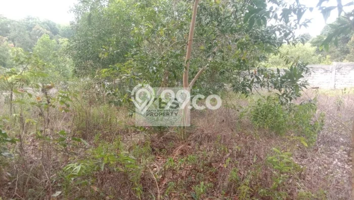 Lahan untuk Dijual di Bintan Timur Bintan Luas 475m2 Lahan untuk Dijual di Bintan Timur Bintan Luas 475m2