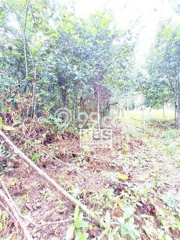 Kavling Tanah di Bintan Timur Dijual Luas 40000m2 Legalitas - Kavling Tanah di Bintan Timur Dijual Luas 40000m2 Legalitas -