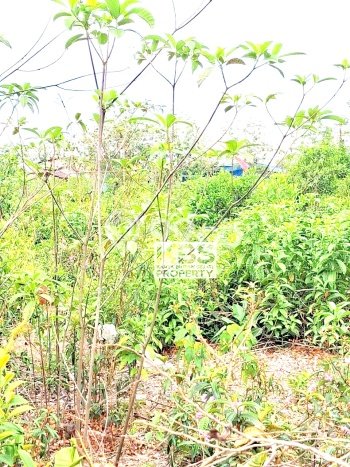 Tanah Dijual Area Strategis di Tanjung Pinang Timur Tanjung Pinang 418m2 Tanah Dijual Area Strategis di Tanjung Pinang Timur Tanjung Pinang 418m2