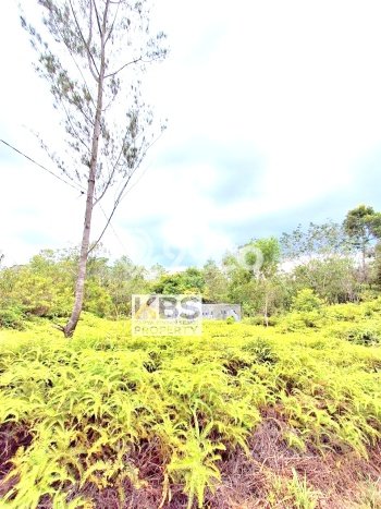 Kavling Tanah di Bintan Timur Dijual Luas 40000m2 Legalitas - Kavling Tanah di Bintan Timur Dijual Luas 40000m2 Legalitas -