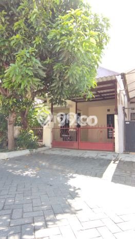 For Sale Rumah 2 Kamar Lokasi Strategis Bagus dan Strategis di Gedangan For Sale Rumah 2 Kamar Lokasi Strategis Bagus dan Strategis di Gedangan