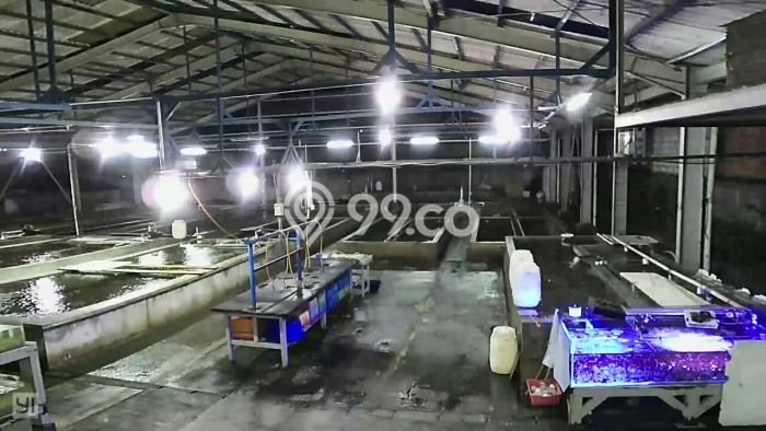 Gudang Bagus Dijual di Kalideres Jakarta Barat Strategis Cocok untuk Kembangkan Bisnis Gudang Bagus Dijual di Kalideres Jakarta Barat Strategis Cocok untuk Kembangkan Bisnis